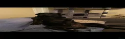 Labrador Retriever dogs for stud: Labrador retriever for stud - Advert 4