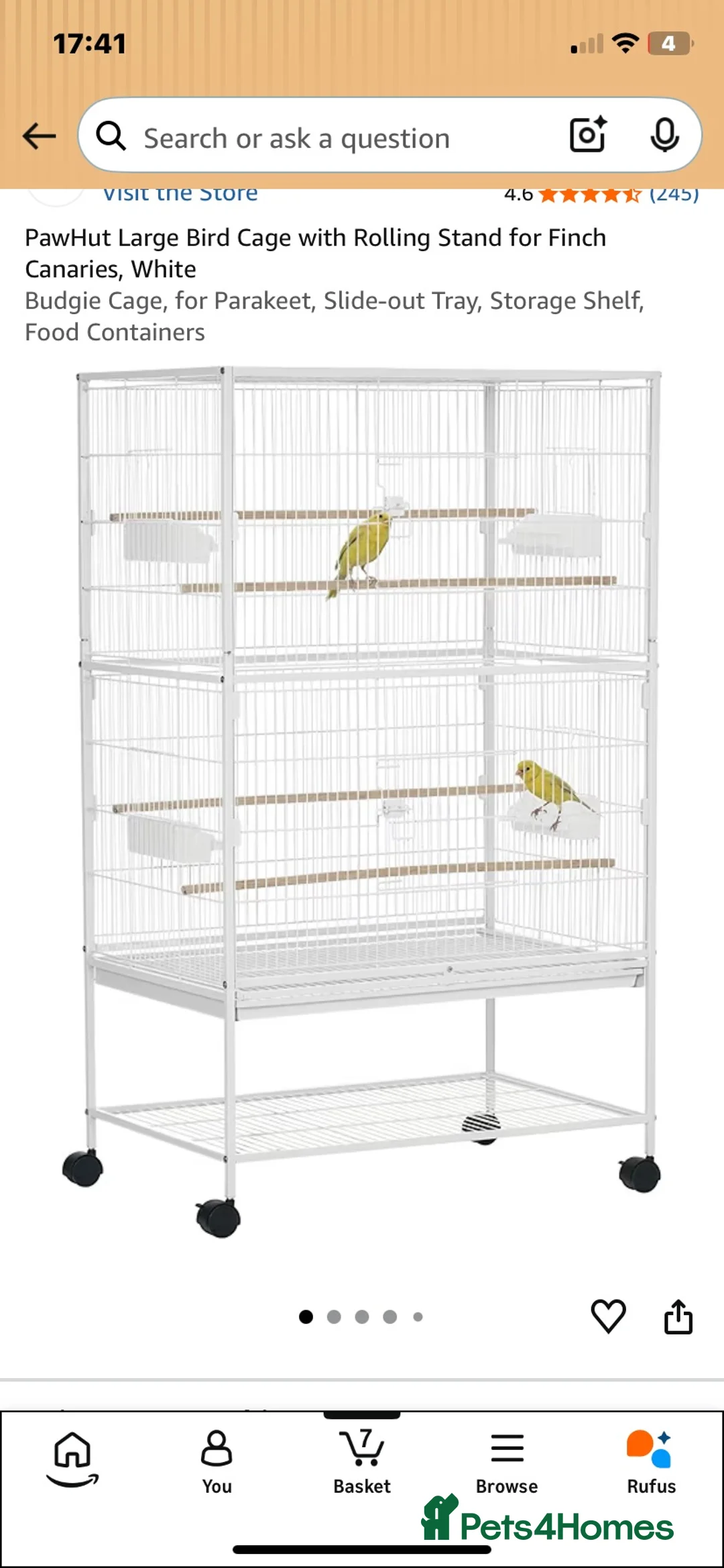 Budgerigars birds for sale: 2 budgies  - Advert 4