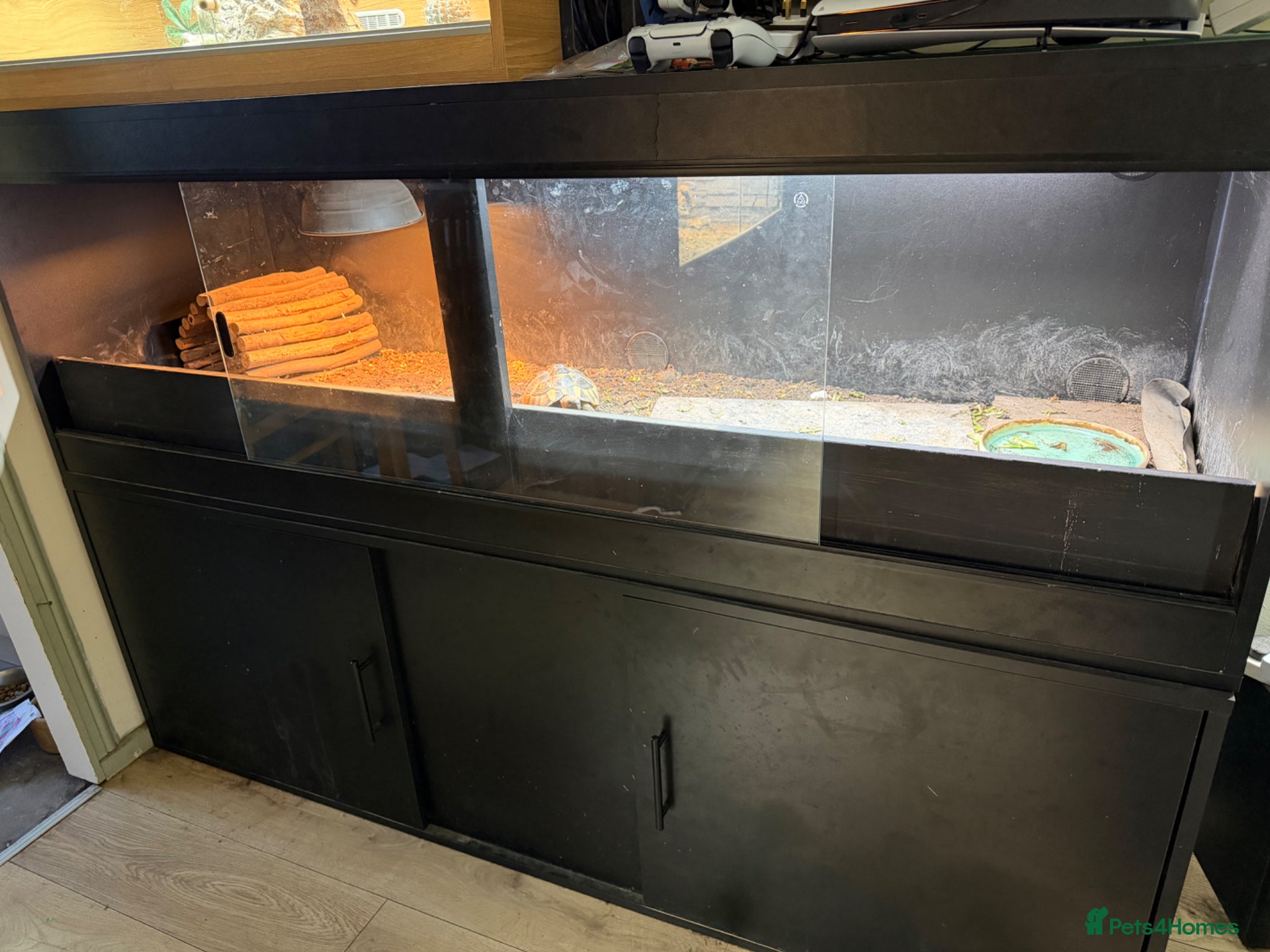 Hermann Tortoise reptiles 6ft vivarium and cupboard  - Advert 21