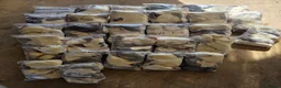 Snake reptiles for sale: Diamond Carpet Pythons - Advert 7
