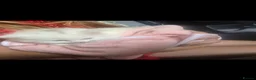 British Shorthair cats for sale: Beautiful kittens  - Advert 7