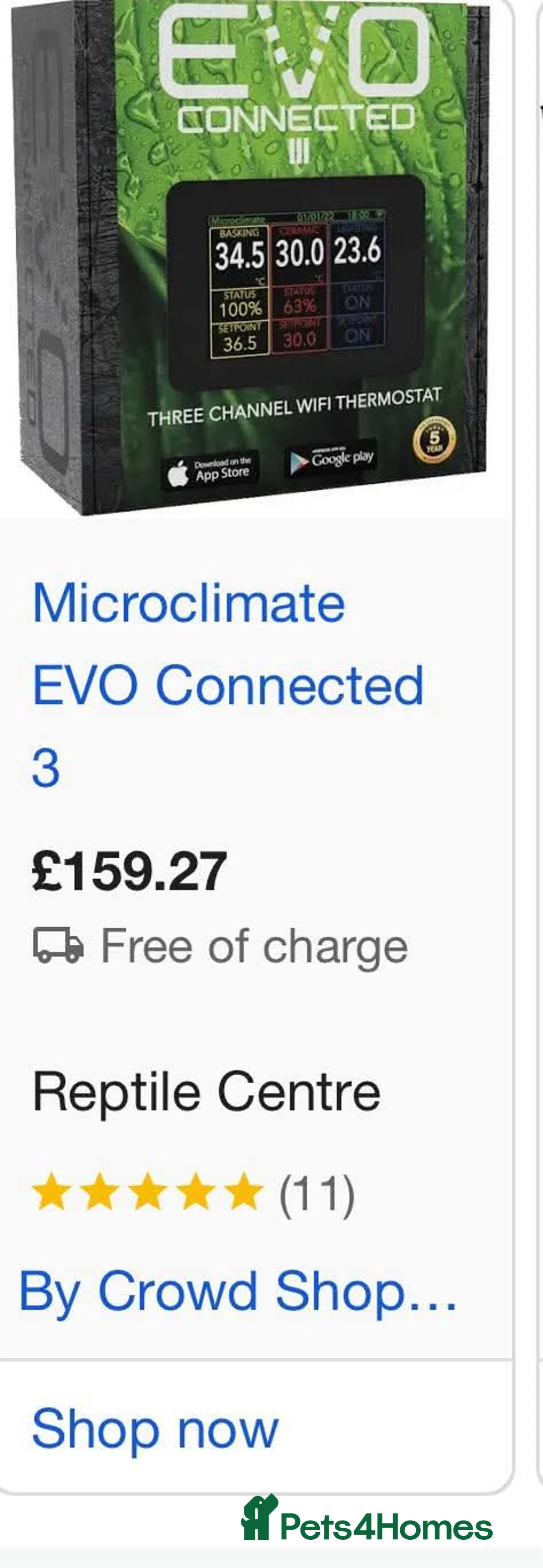 Boa Snake reptiles for sale: Rainbow boa - Advert 6