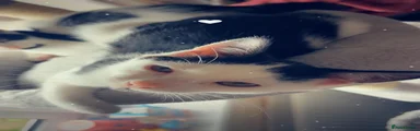 Bubbles