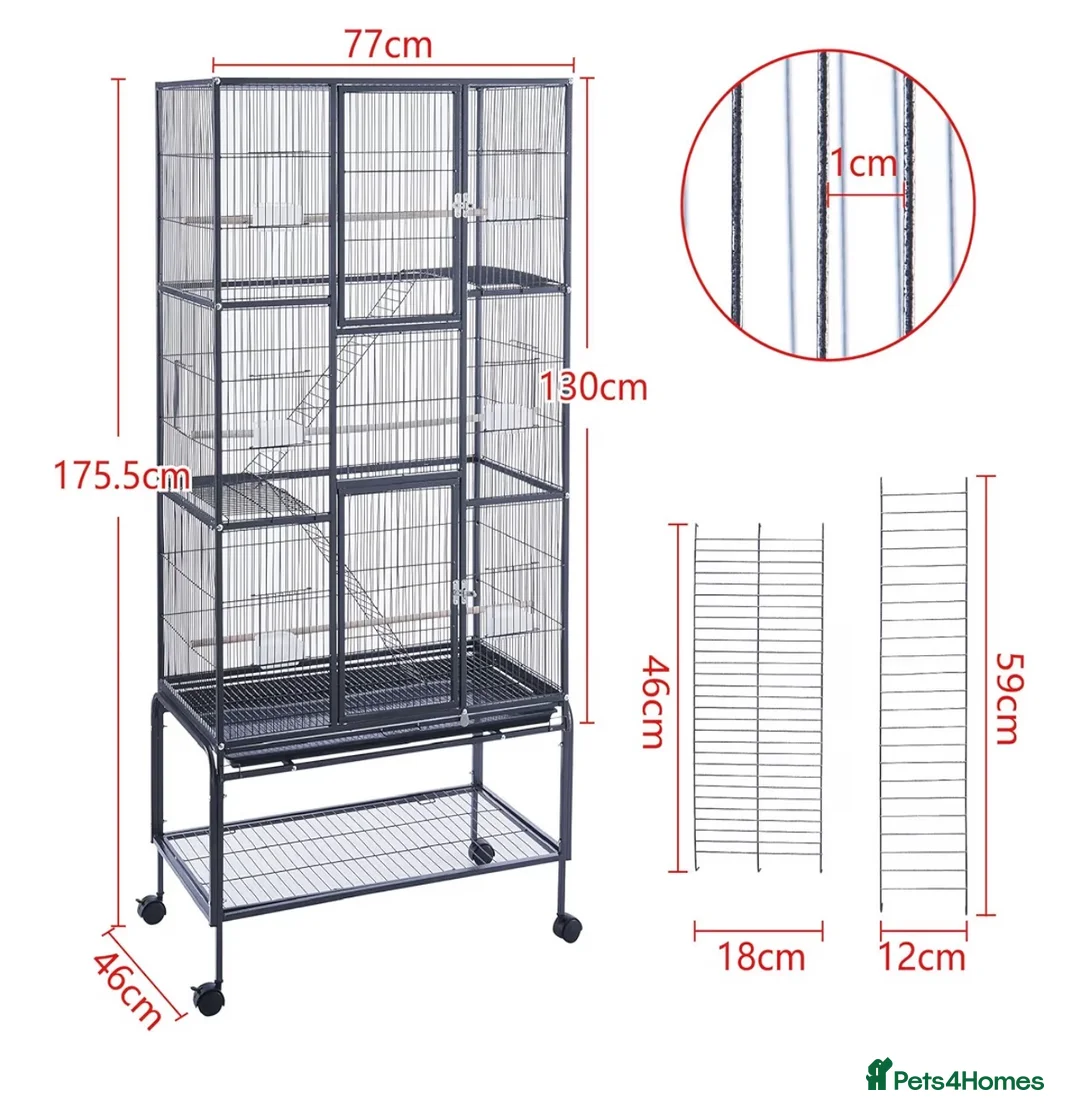 Rat rodents for sale: 2 lovely female rats with full setup in Nottingham - Advert 6