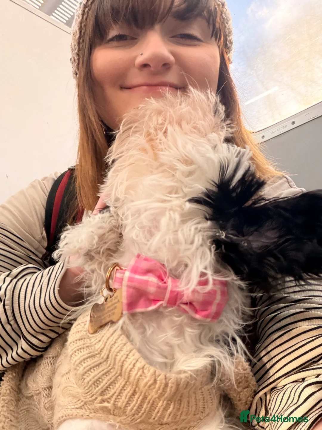 Gallery Image {{count}}