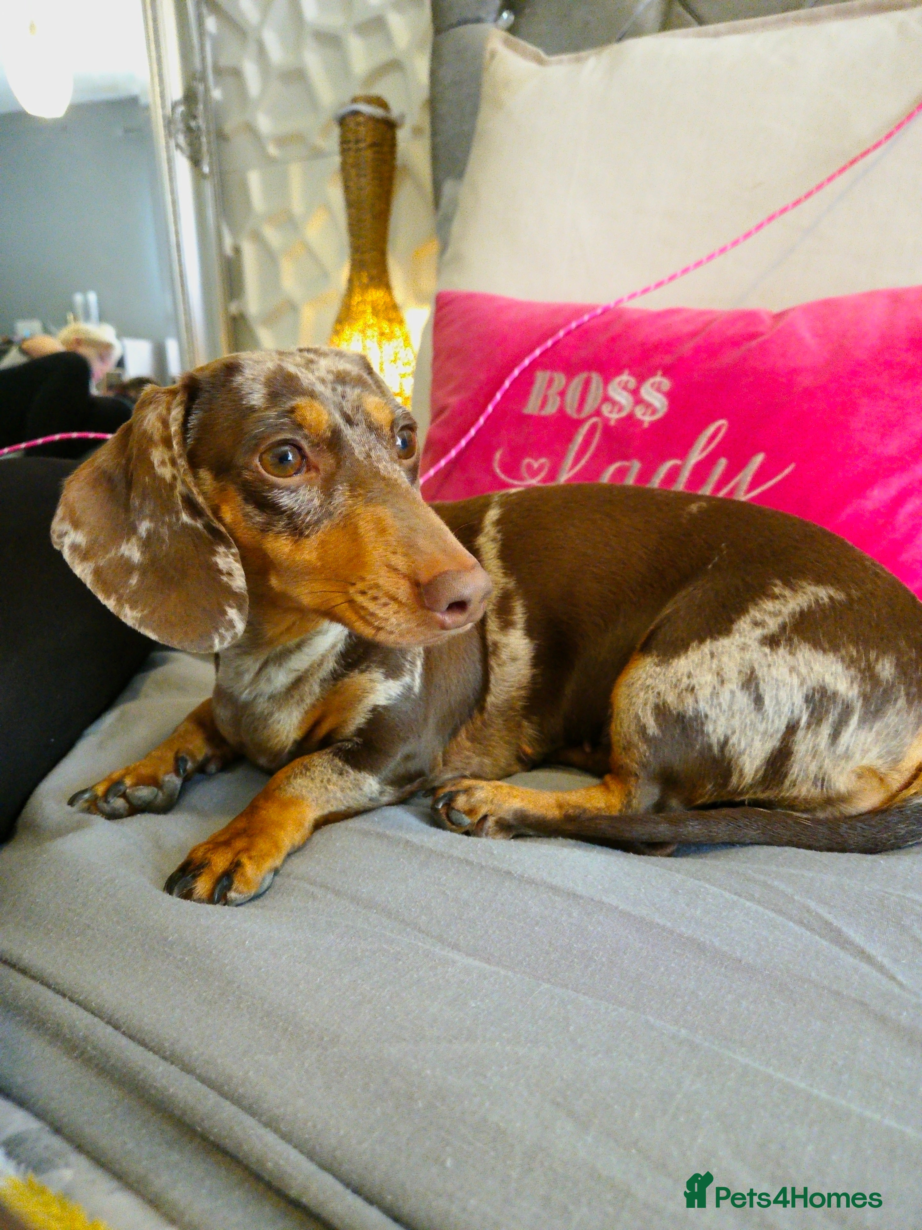 Bella