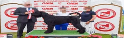 Giant Schnauzer dogs for sale: Giant Schnauzer Puppies - IKC Champion Bloodlines - Advert 7