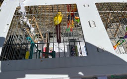 Canaries birds for sale: Beautiful Canary with cage and accessories  - Image 1