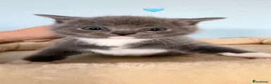 Boy 1 