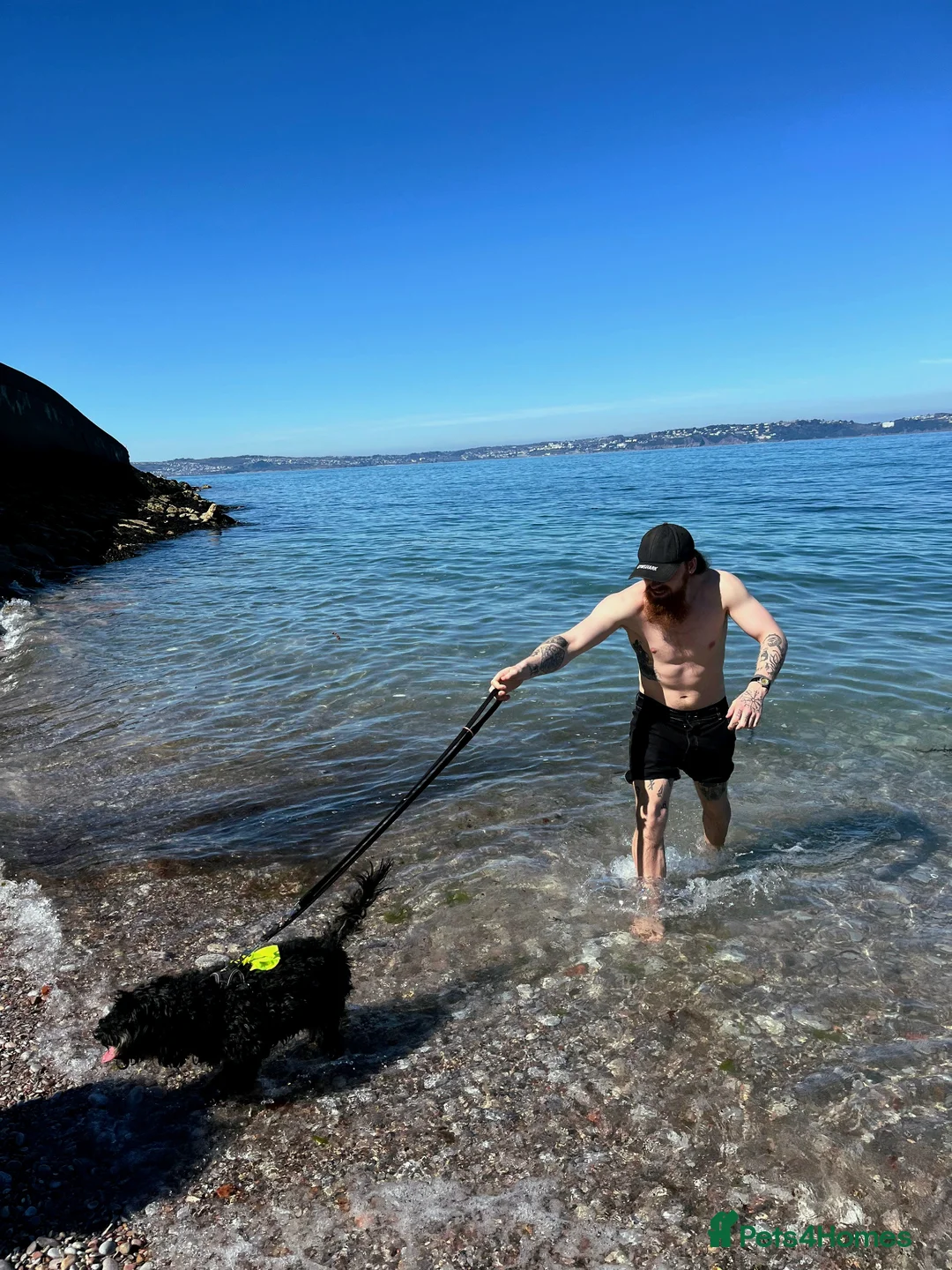 Gallery Image {{count}}