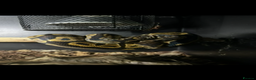 Python Snake reptiles for sale: Leopard python for sale, collection only - Advert 4