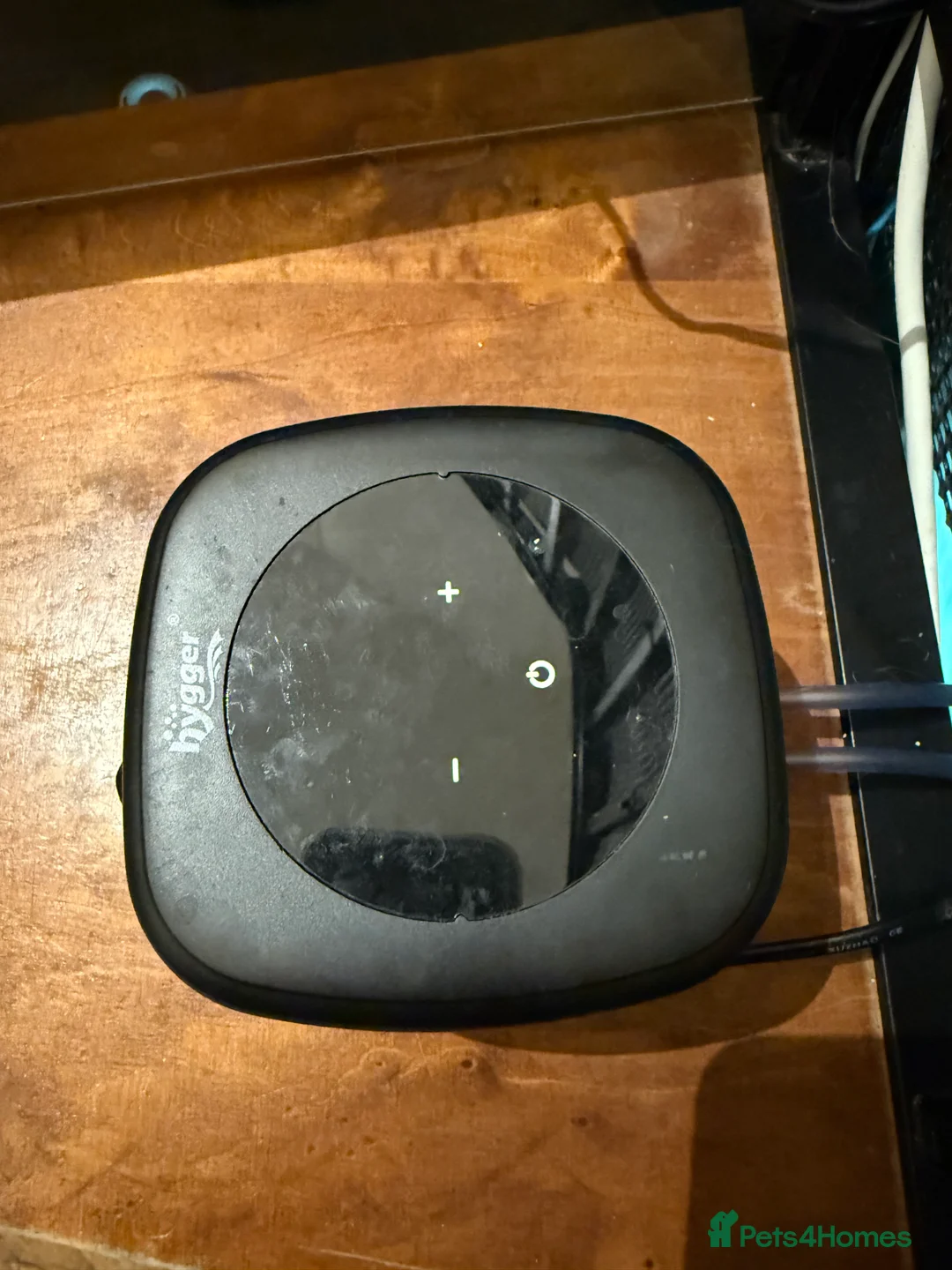 Mollies fish for sale: Tropical Fish Tank 160 litters - Advert 5