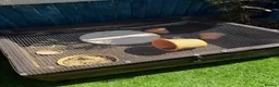 Tortoise reptiles for sale: Russian horsefield tortoise 2 years old full setup - Advert 7