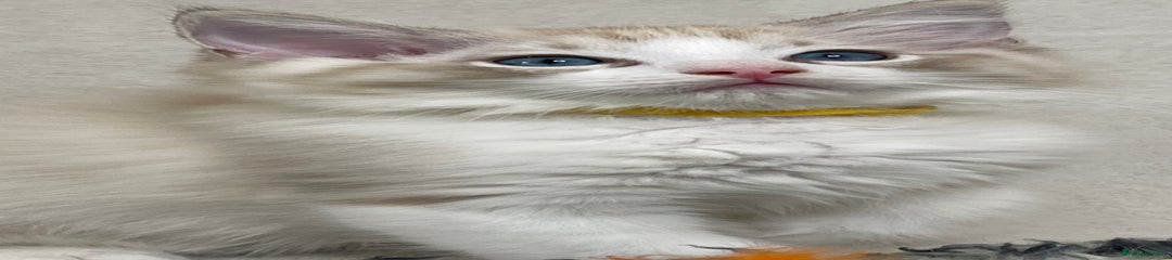 Cosmo