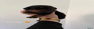 Rottweiler 1
