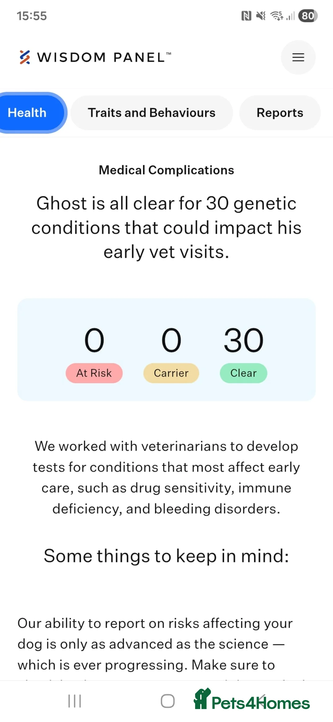 Mixed Breed dogs for stud: Ghost 3yr old gsd/Mali  in Liverpool - Advert 17