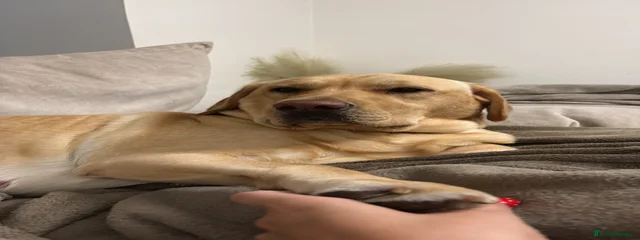 Winnie