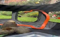 Corn Snake reptiles for sale: Beautiful cornsnake for sale to a loving owner!  - Advert 2