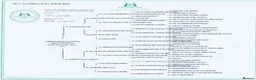 Labrador Retriever dogs for stud: Labrador, proven, health tested, show bred  - Advert 2