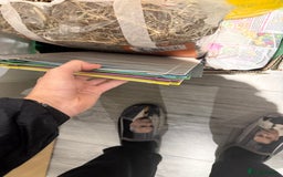 Gerbil rodents for sale: Two male gerbils to be rehomed asap - Image 12