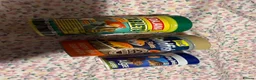 Fancy Goldfish fish for sale: 2 Fantails, tank, filter, air pump and MORE - Advert 6