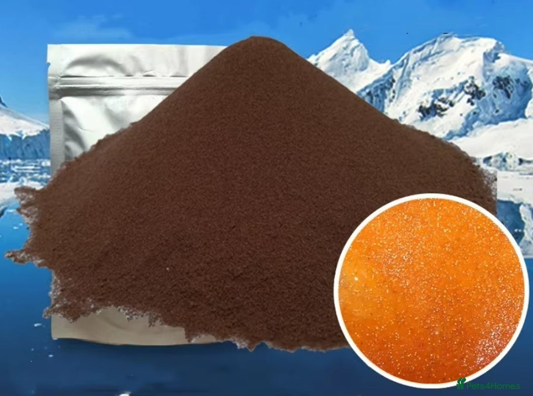 Bettas fish for sale: 425 gr Artemia Cysts Brine Shrimp Egg  - Image 5