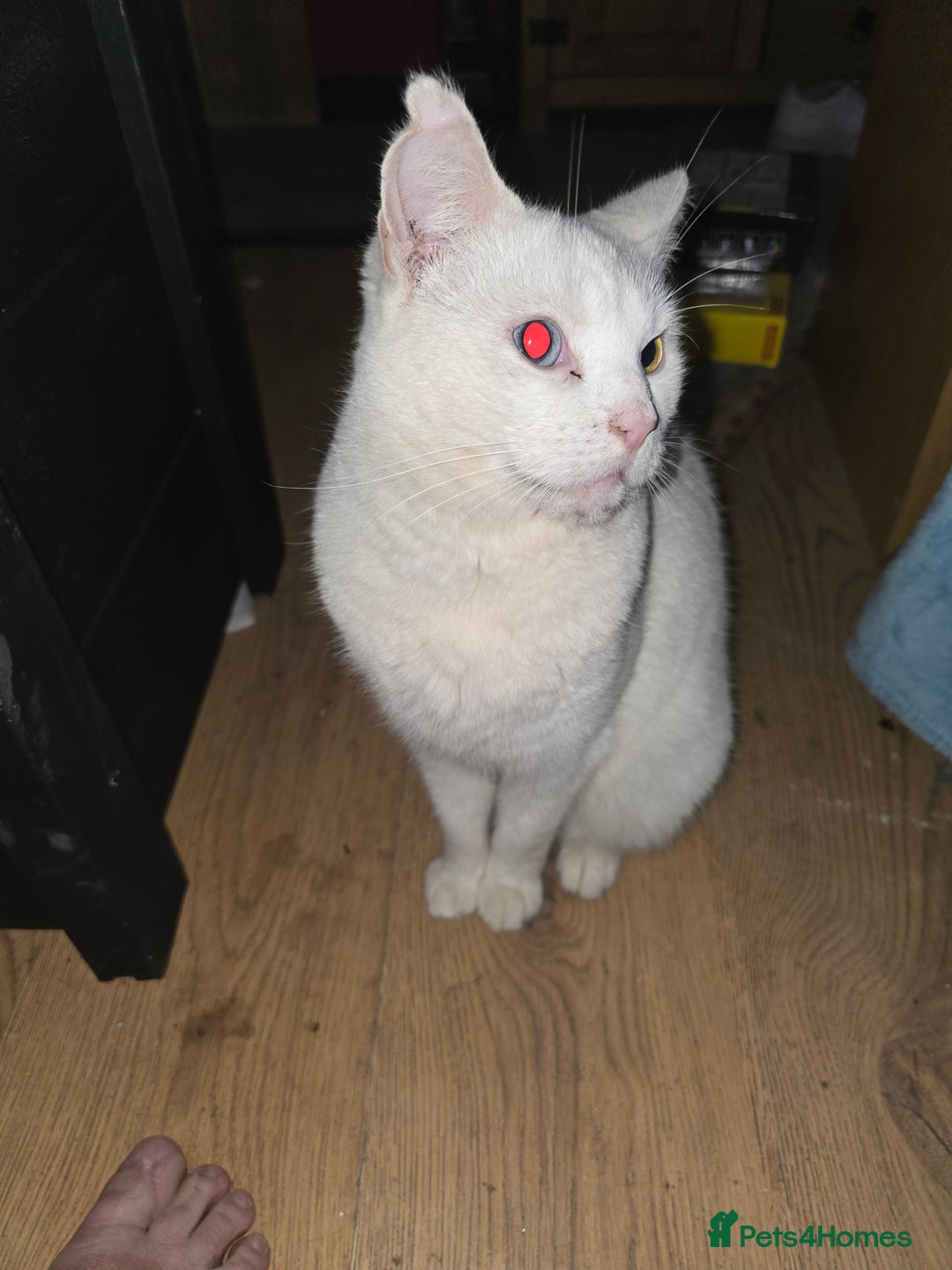 Gallery Image {{count}}