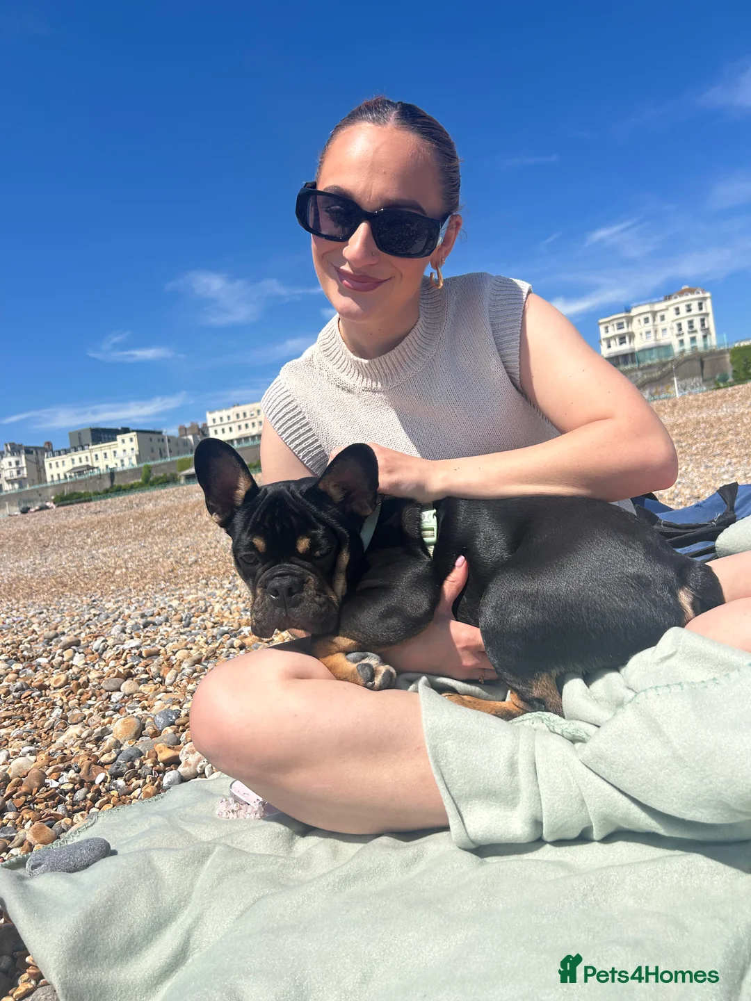 French Bulldog dogs for sale: Black and Tan French Bulldog in Aldershot - Advert 14