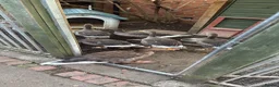 Geese poultry for sale: Greylag geese looking for new home in Immingham - Advert 3