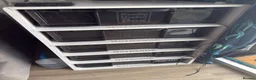 Python Snake reptiles for sale: Snake rack with ball pythons  in Gillingham - Advert 1
