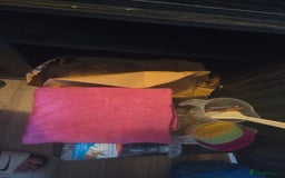 Corn Snake reptiles for sale: X2 4½ft-5ft corn snakes - Image 10