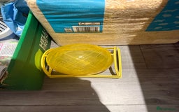 Gerbil rodents for sale: Two male gerbils to be rehomed asap - Image 10