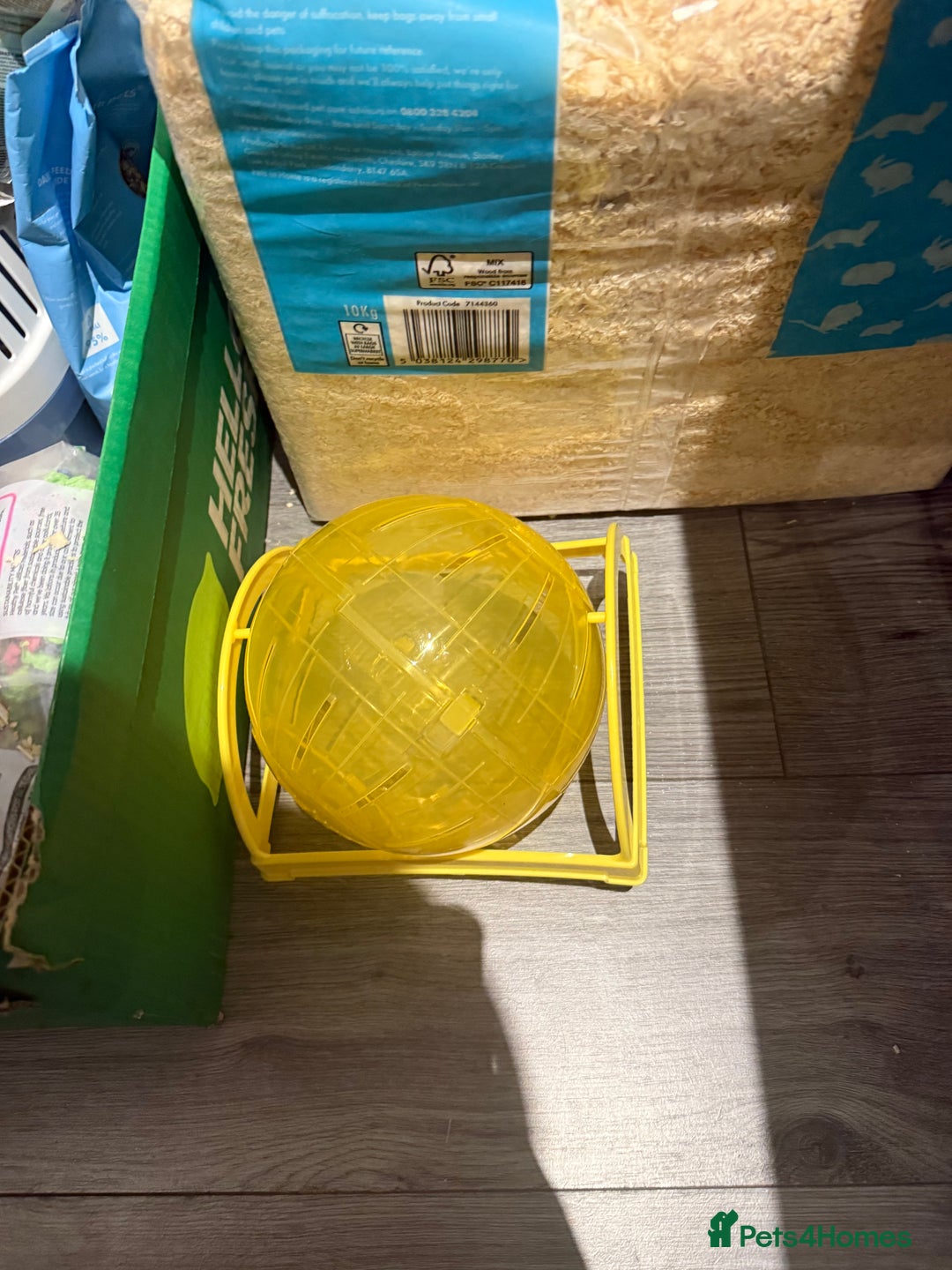 Gerbil rodents for sale: Two male gerbils to be rehomed asap - Image 10