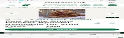 Cocker Spaniel dogs for sale: Cocker Spaniel Puppies in Liskeard - Advert 5
