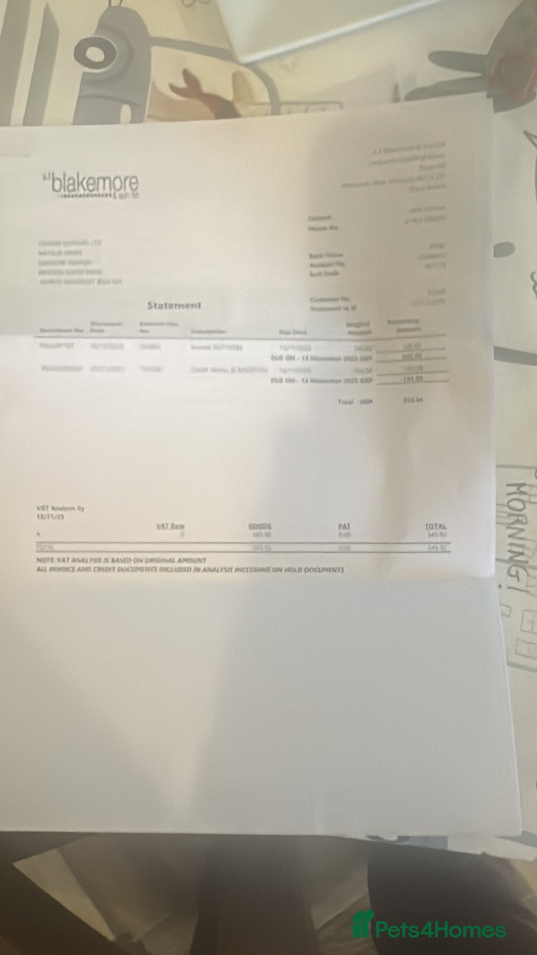 Jack Russell dogs for sale: Jack Russell puppies miniature - Advert 9