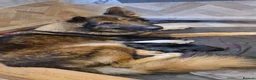 Mixed Breed dogs for sale: German Shepherd × German Shorthaired Pointer - Advert 1