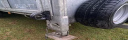 Mixed Breed livestock for sale: Tipping flat bed with sides - Advert 15