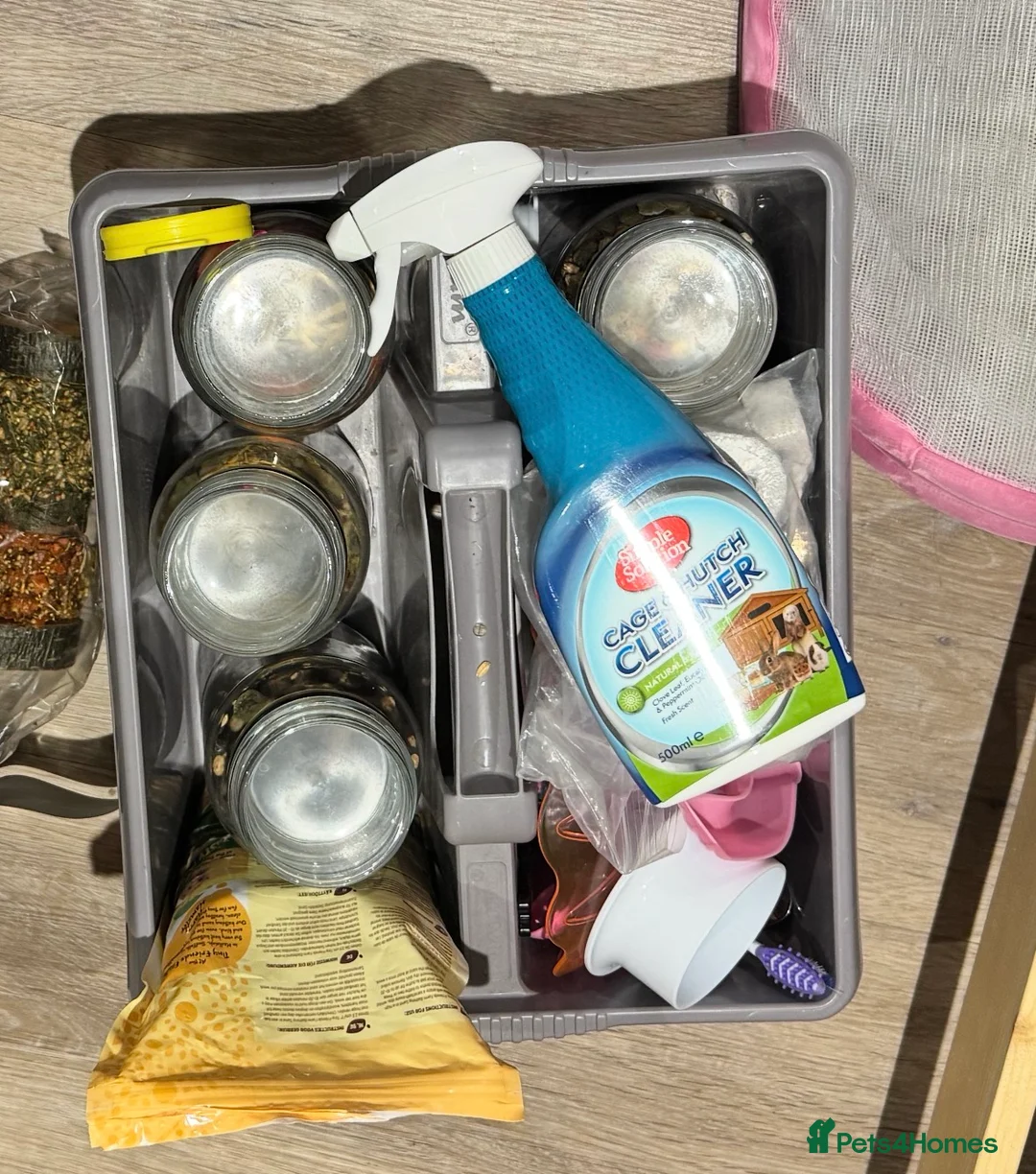 Hamster rodents for sale: Gentle female golden hamster and all accessories in Hastings - Advert 6