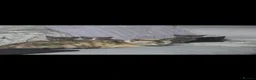 Maine Coon cats for sale: Maine Coon cross kittens in Doncaster - Advert 8