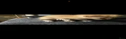 Domestic Shorthair cats for sale: Stunning kittens  - Advert 6