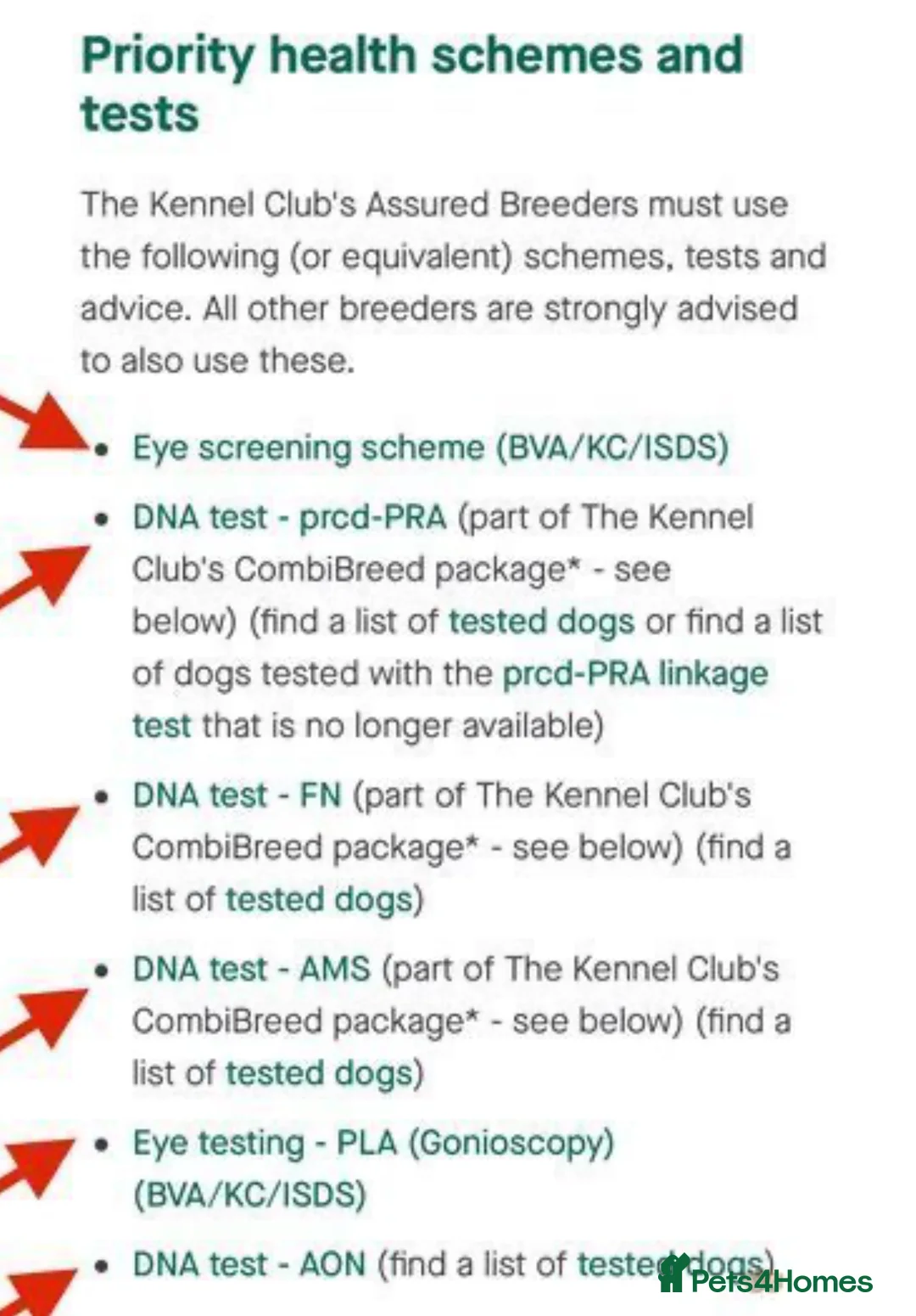 Cocker Spaniel dogs for stud: *Mungo* GOLDEN Show Cocker PEDIGREE BEST TESTED in Bradford-on-Avon - Advert 14