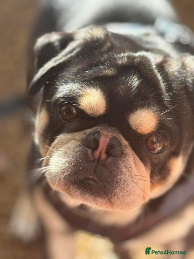 Gallery Image {{count}}