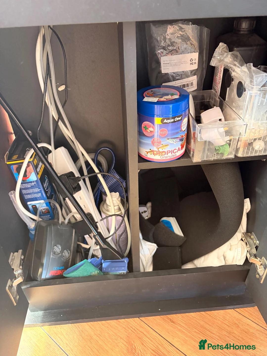 Sharks fish for sale: Full tank set up - Advert 4