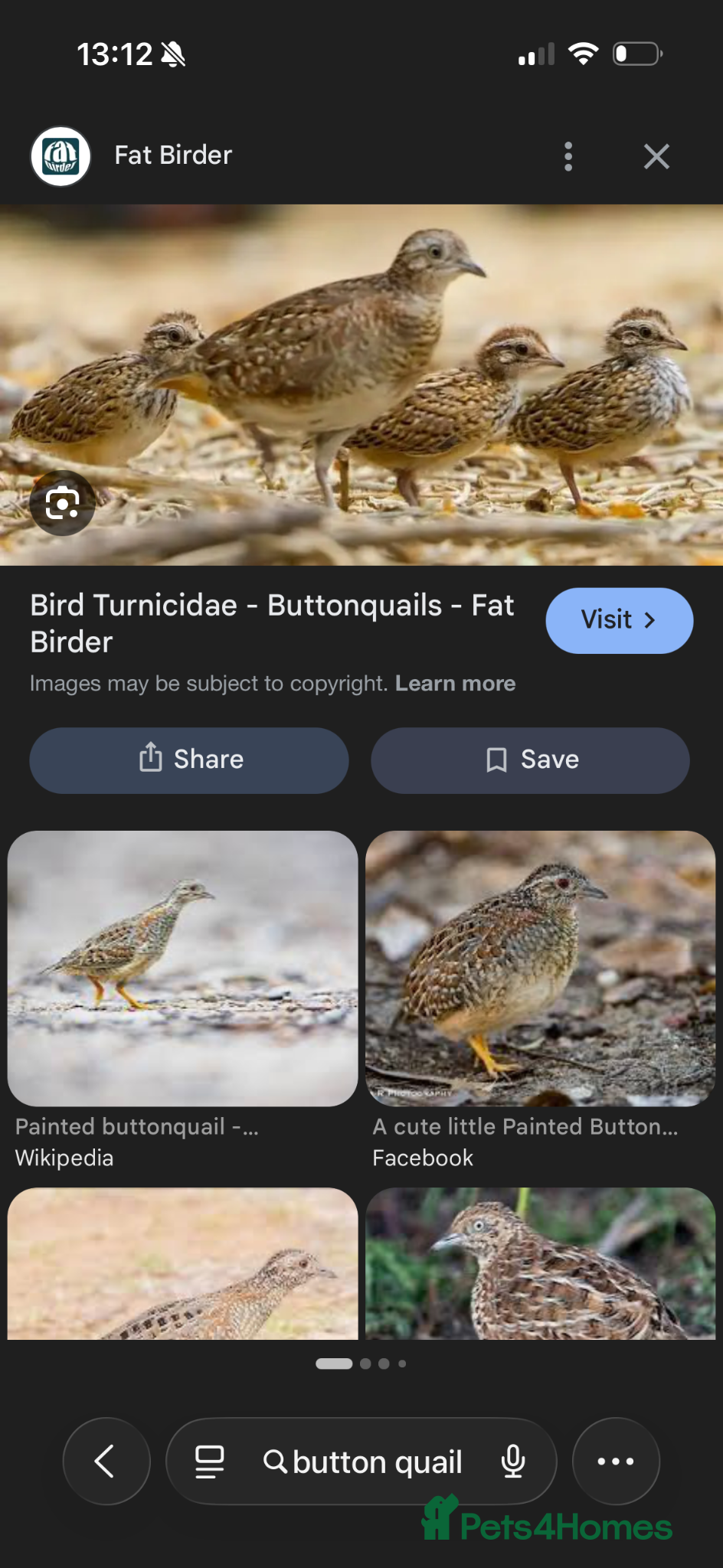 Chickens poultry interested? - Advert 12