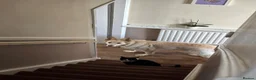 German Shepherd dogs for sale: White Apricot/Cream 3yrs old (2023). - Advert 9