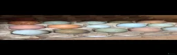 Chickens poultry for sale: Coloured hybrids  - Advert 2