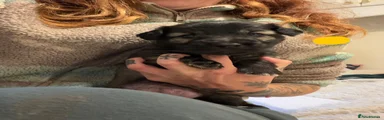 Ella