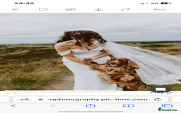 Cocker Spaniel dogs for sale: Lovely natured spaniel puppies - Image 20