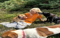 Mixed Breed dogs for adoption: Pony - Norwich Norfolk  - Image 15