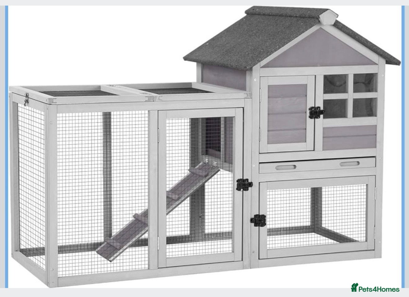 Sable rabbits Two Beautiful Bonded Female Rabbits  - Advert 2